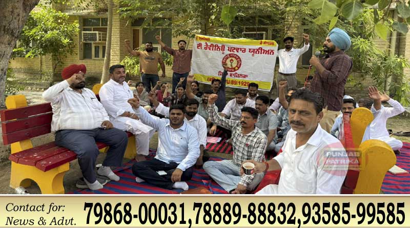 फाजिल्का तहसील में पटवार यूनियन का धरना, लंबित मांगों के समाधान की मांग
